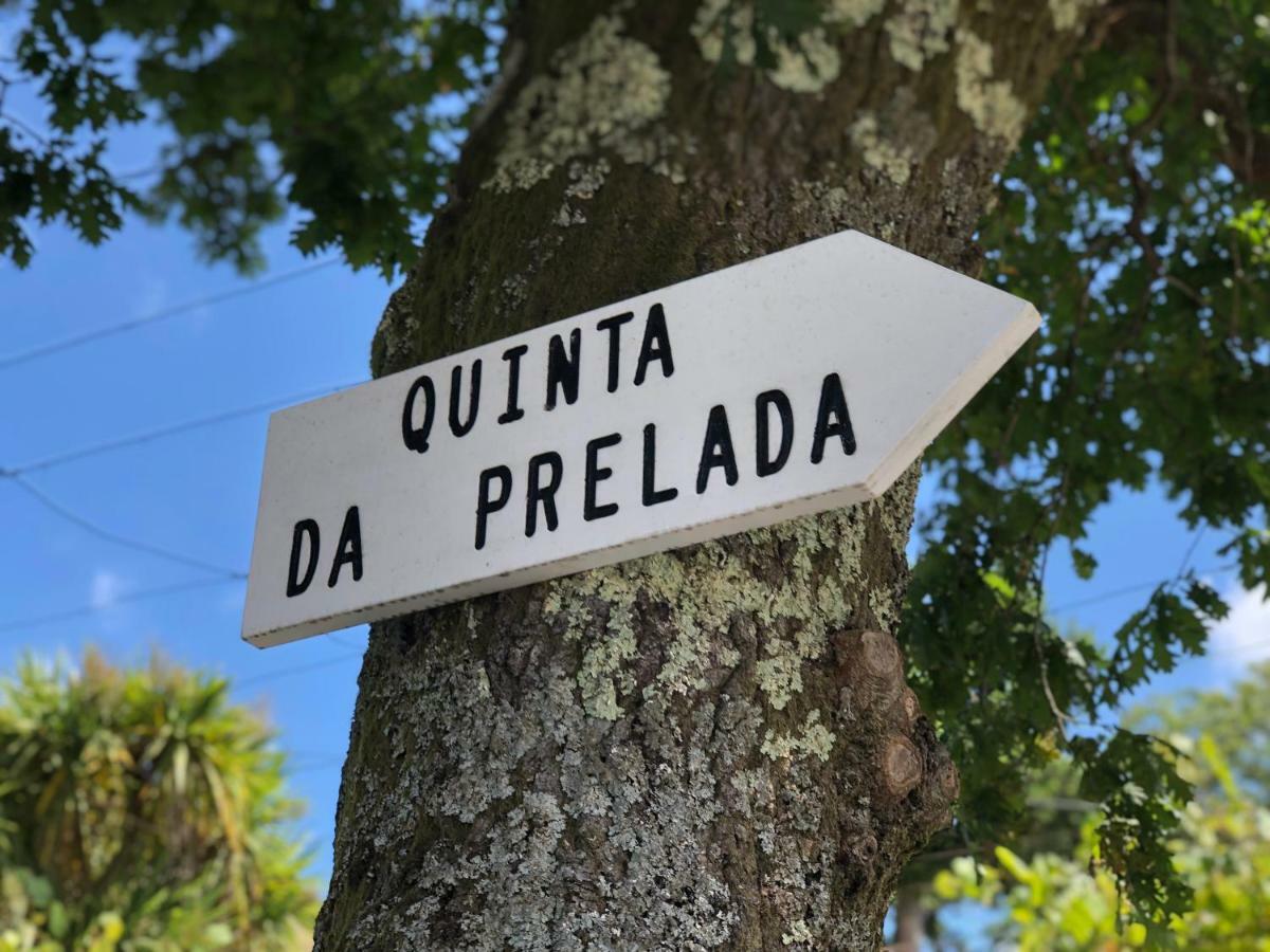 Villa Casa Da Quinta Da Prelada Simao Partie Basse Celorico De Basto Exterior foto